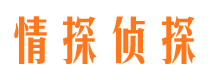 汕头小三调查